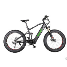 Bicicleta eléctrica 2019 del neumático gordo de OEM / ODM con las células ocultadas de LG de la batería de litio